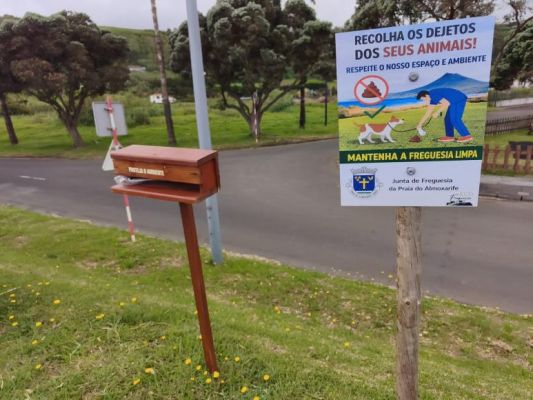 Dejetos caninos